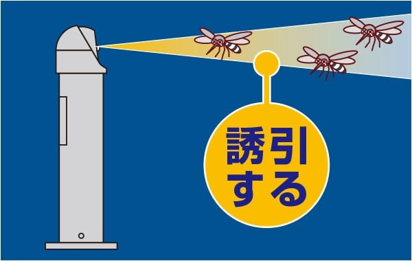 誘引範囲